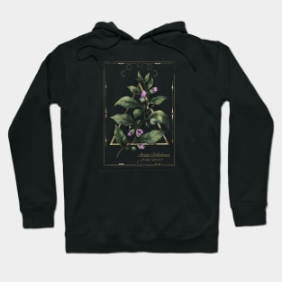 Belladonna Hoodie